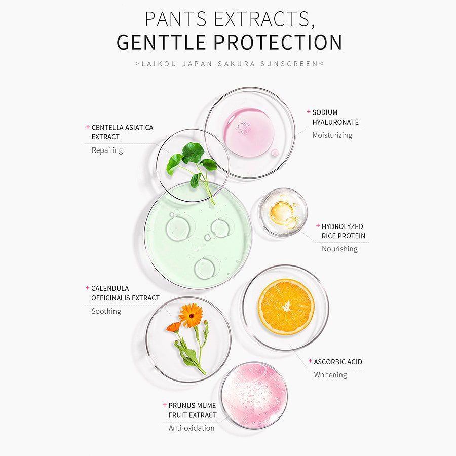 LAIKOU-Sakura04-min.jpg LAIKOU-Sakura04-min.jpg